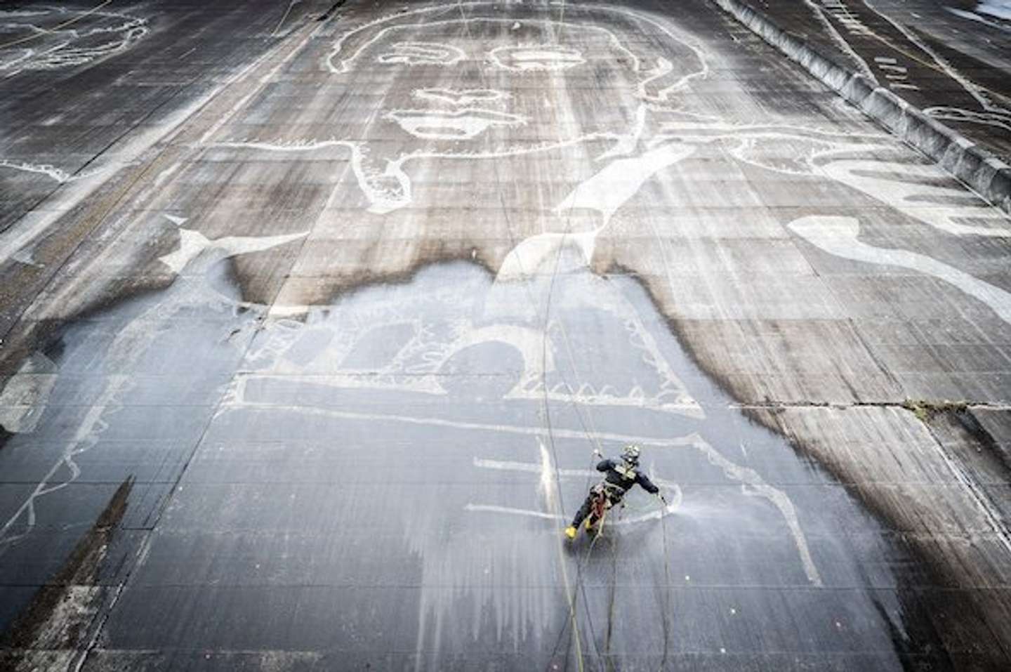 画像提供：ケルヒャー ジャパン