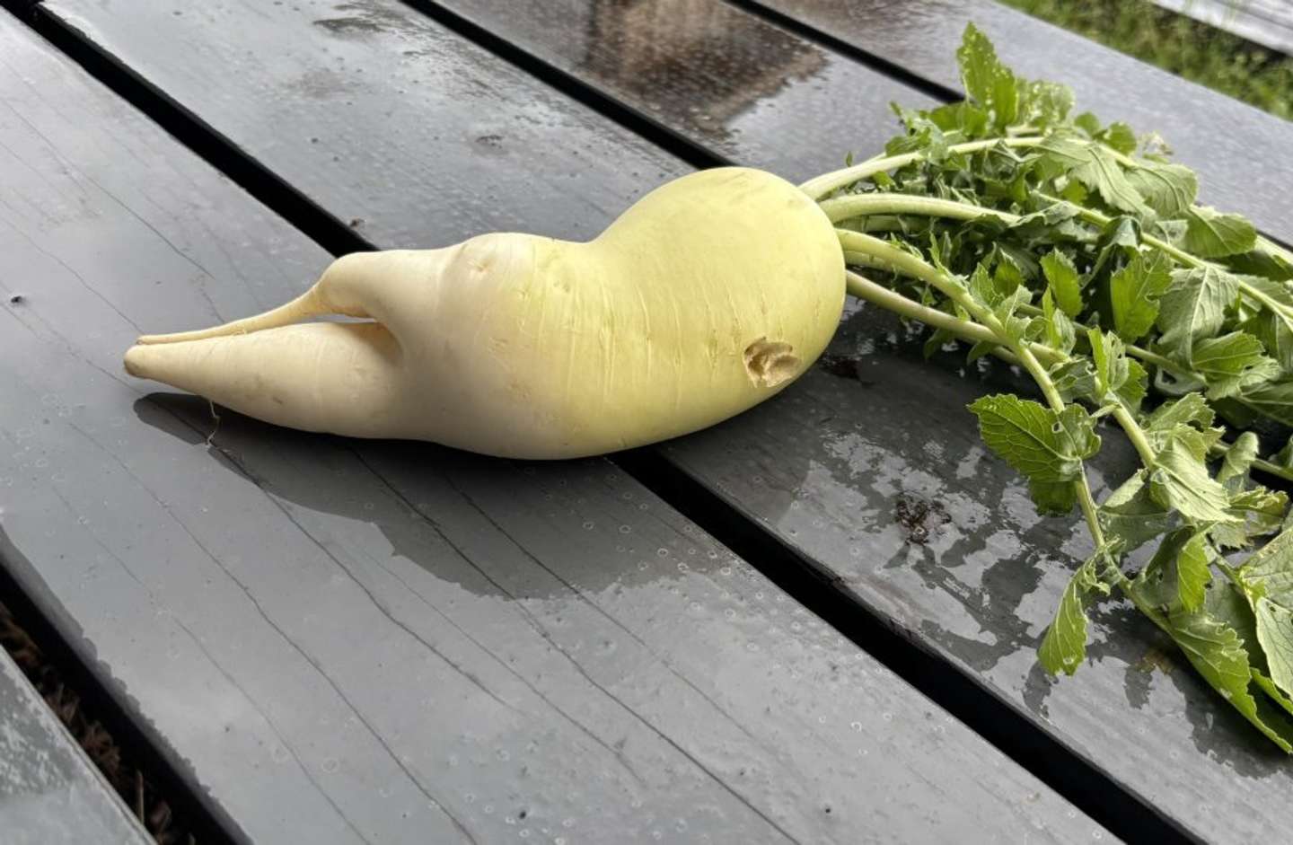 そっぽ向いてる...（画像は武夫。＠taihidukuriさんの投稿より）