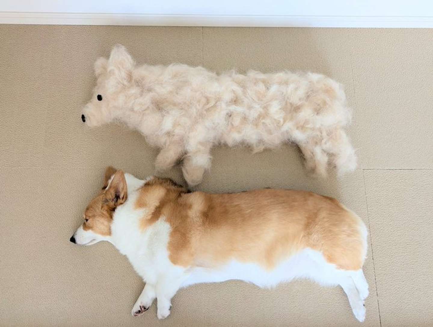 画像は＠komachiaya_さんの投稿より