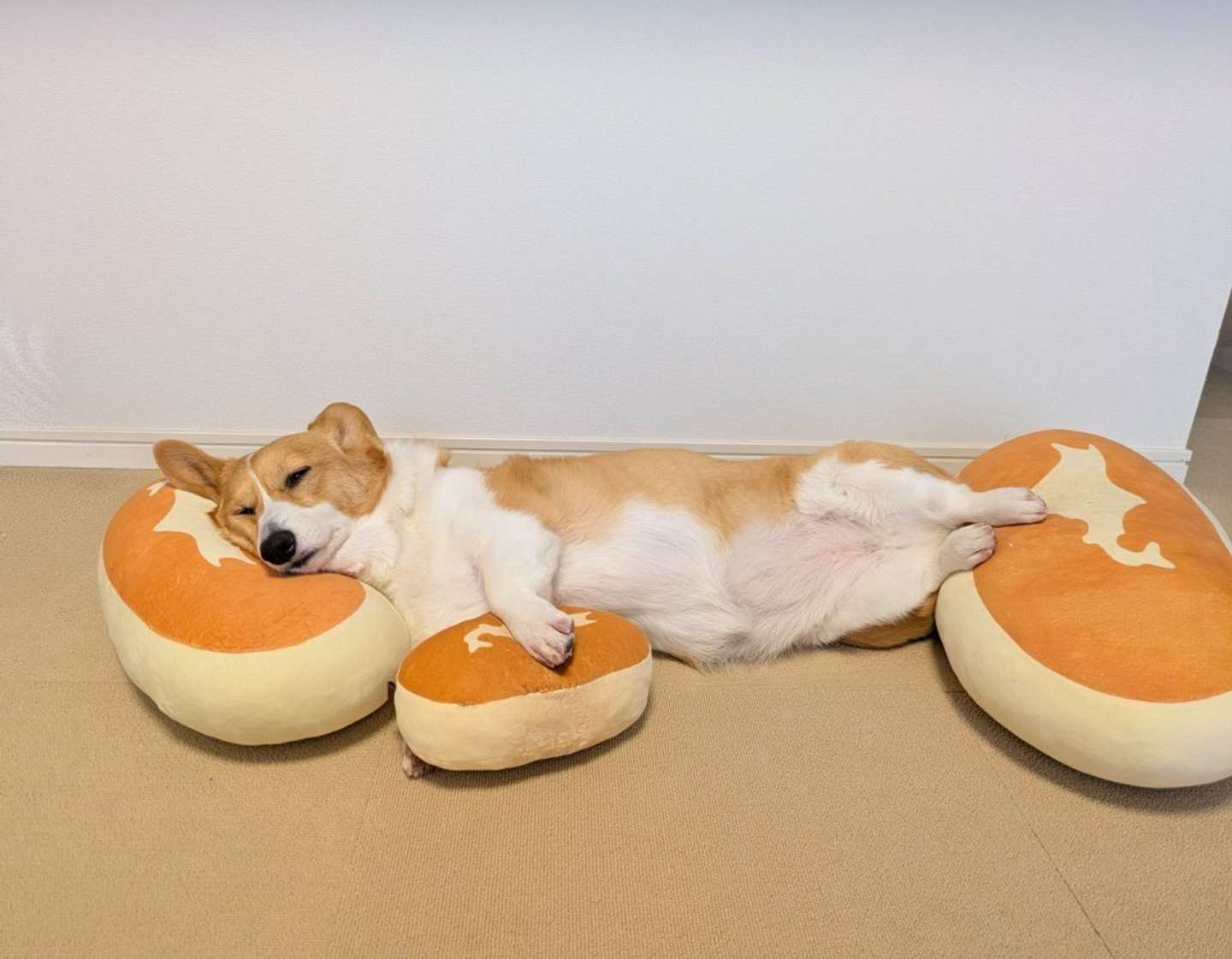 よくねむるこまちちゃん （画像は＠komachiaya_さんの投稿より）