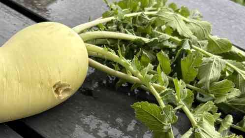 画像は武夫。＠taihidukuriさんの投稿より