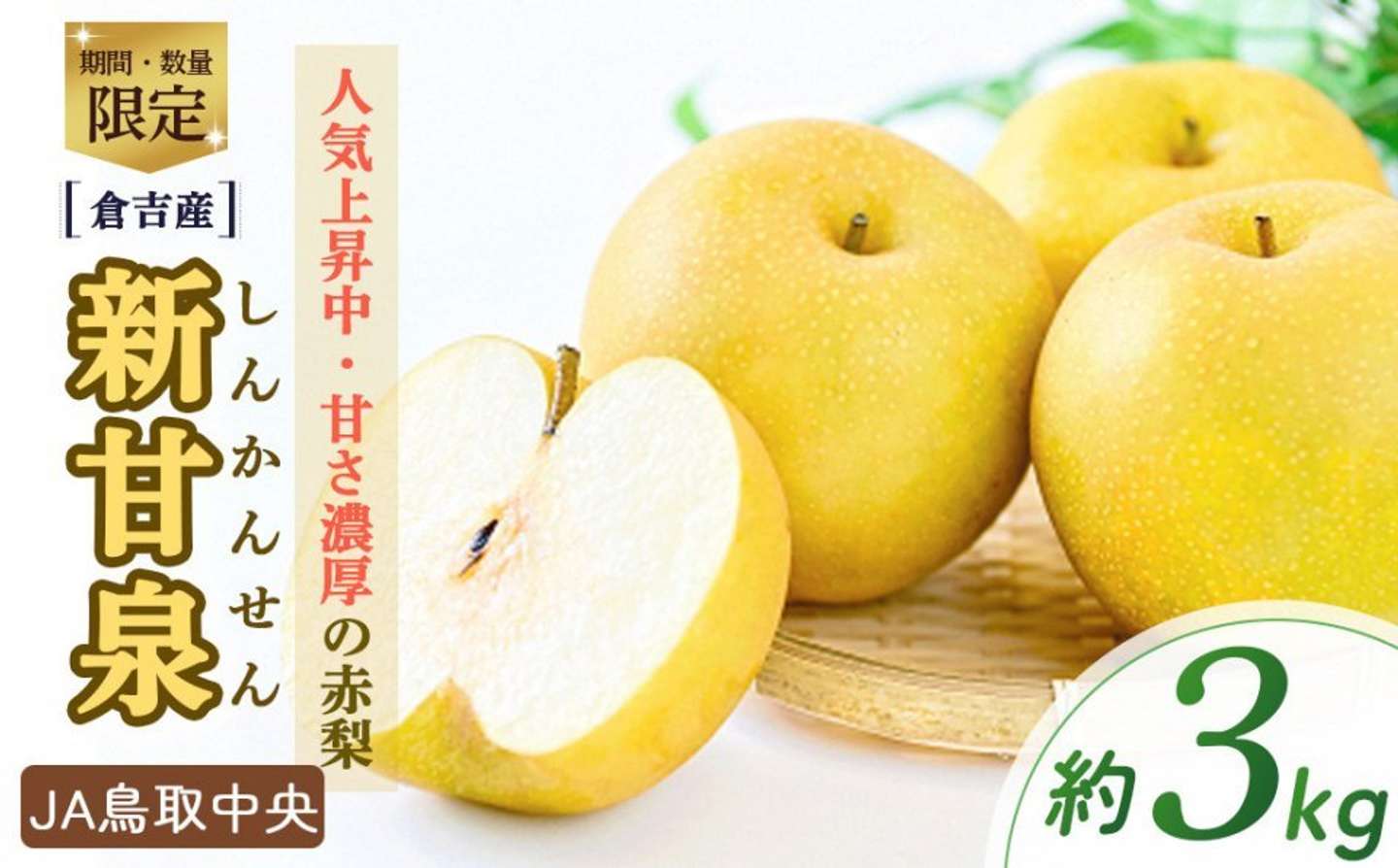 鳥取県 倉吉市「新甘泉【倉吉産】3kg」16000円（ふるさとチョイスより）