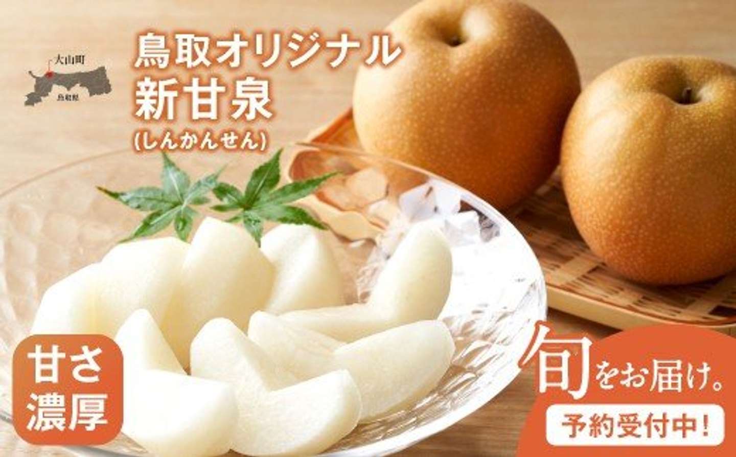 鳥取県 大山町「新甘泉梨（しんかんせんなし）（５ｋｇ）」19000円（ふるさとチョイスより）