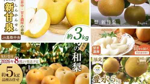 「見事に裏切ってくれました」「美味しすぎて毎年買ってます」　ふるさとチョイスで人気の【梨】トップ5
