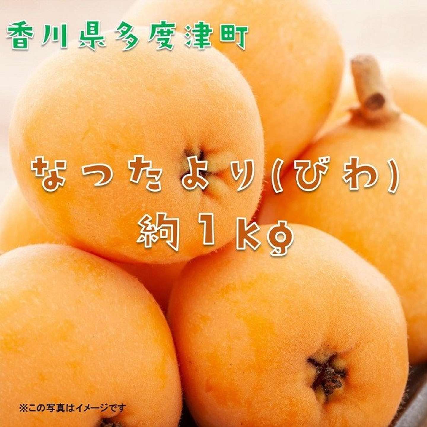 香川県 多度津町「なつたより（びわ）約1kg」13000円（ふるさとチョイスより）