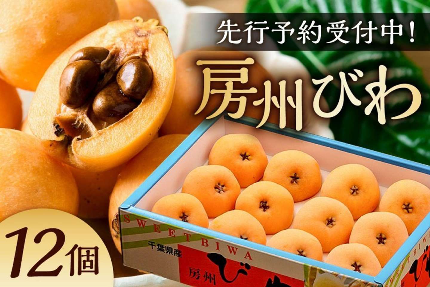 千葉県 南房総市「房州びわ(露地)12粒入2Lサイズ以上1箱」価格（ふるさとチョイスより）