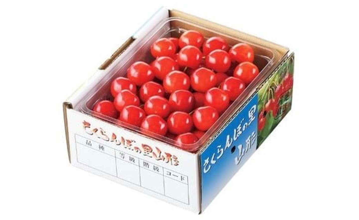 山形県 天童市「さくらんぼ(紅秀峰)500g」15000円（ふるさとチョイスより）