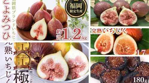 「びっくりするくらいに美味しい」「今までで一番」　ふるさとチョイスで人気の【いちじく】トップ5
