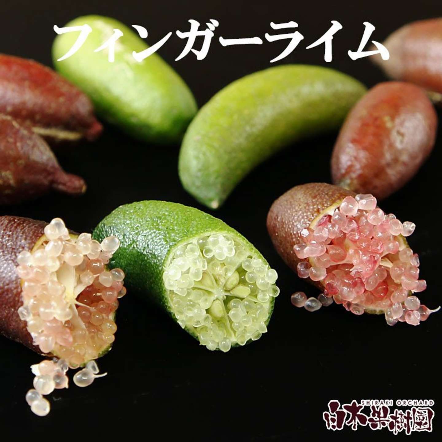 高知県 土佐市「フィンガーライム 約100g」10000円（ふるさとチョイスより）