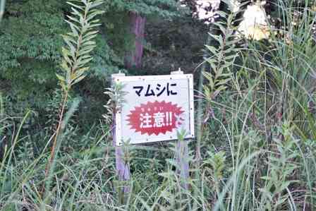 マムシが私の右手親指に食いついたまま離れない　どうしたらいいか、立ちすくむばかり（福岡県・40代男性）