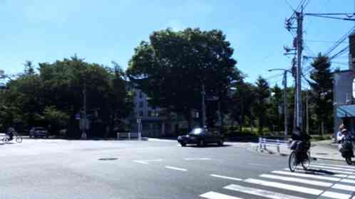 自転車で通学中、タクシーにはねられた。意識を失い、気づいた時に聞こえてきたのは（東京都・30代女性）