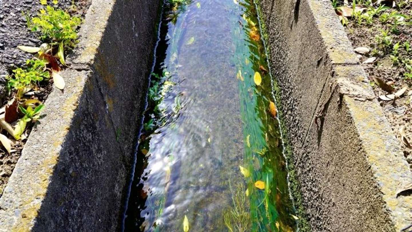 書類を落としてしまって...（画像はphotoAC）