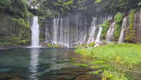 「人生の中で5本の指に入る」　日本中を訪れた旅人が感激...静岡・白糸の滝の魅力とは