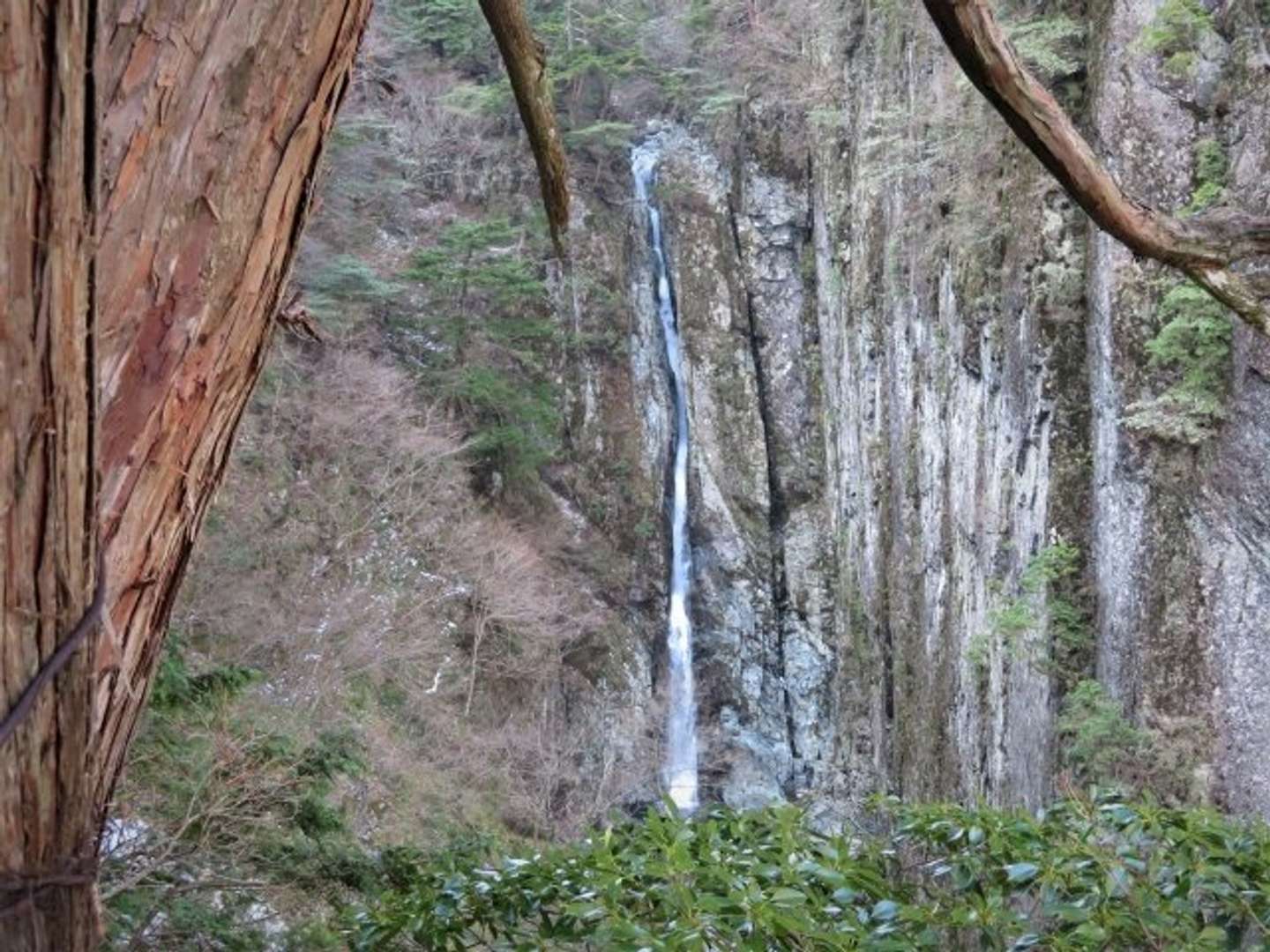 画像はphotoAC