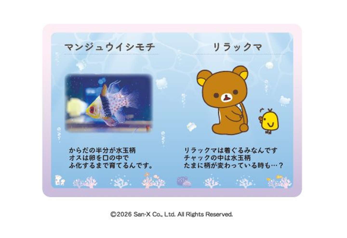 （C) 2026 San-X Co., Ltd. All Rights Reserved.