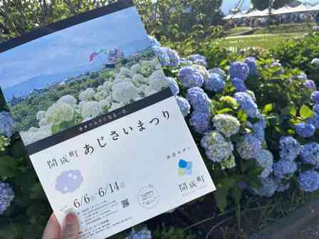 のどかな田園風景と5000株のあじさいにメ～ッチャ癒やされた！　「あじさい池」も圧巻の神奈川・開成町あじさいまつり現地レポ【～6／14】 