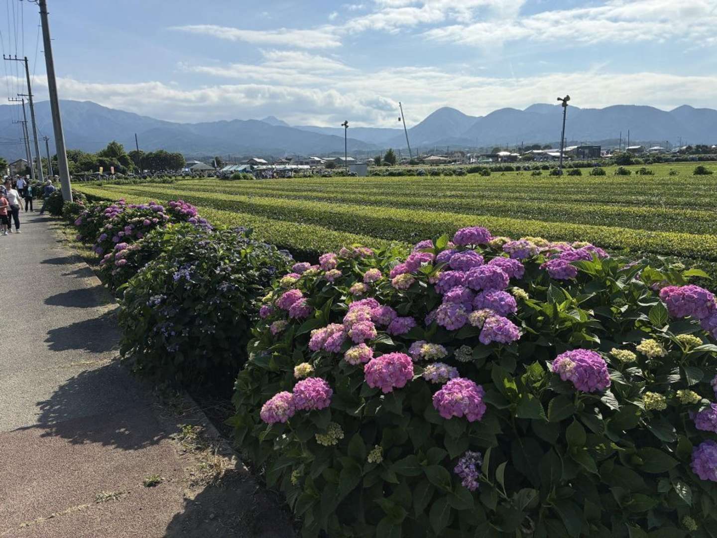 思わず深呼吸したくなる景色 