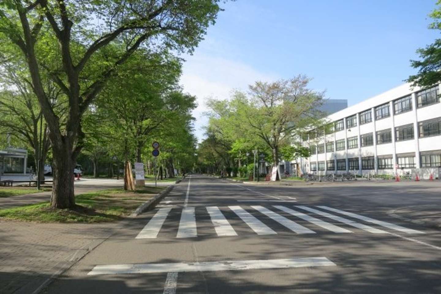 北海道大学構内で（画像はphotoAC）