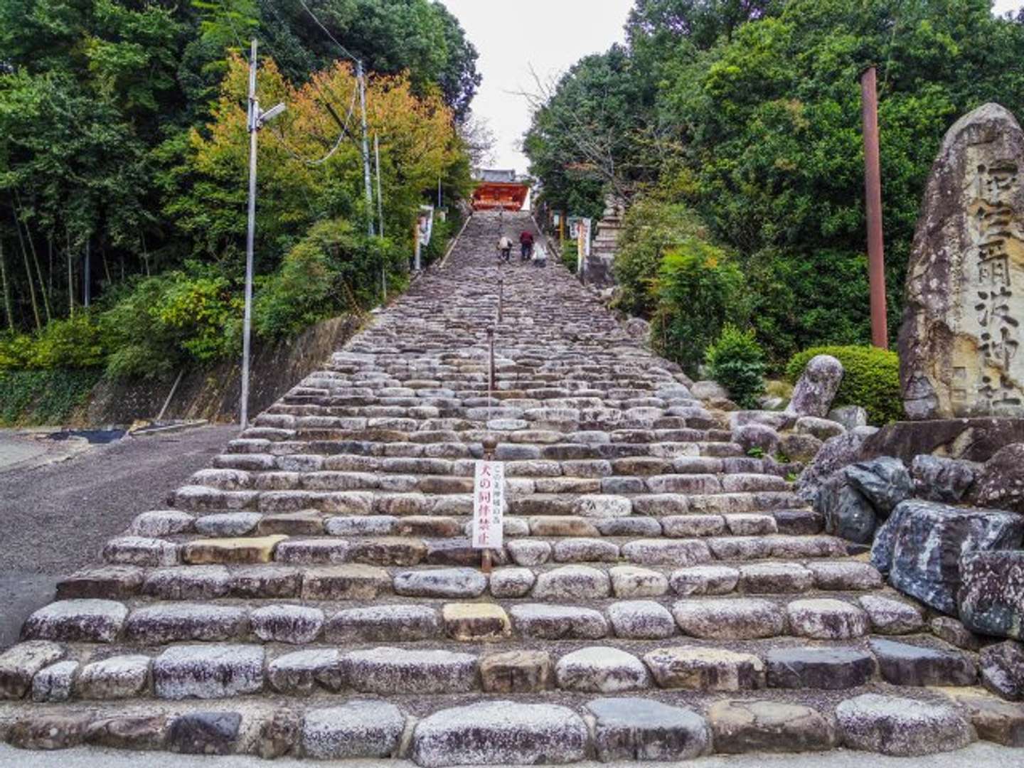 画像はphotoACより