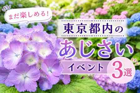 となりのトトロ」公開30周年 「大トトロ」が座る立体カレンダー