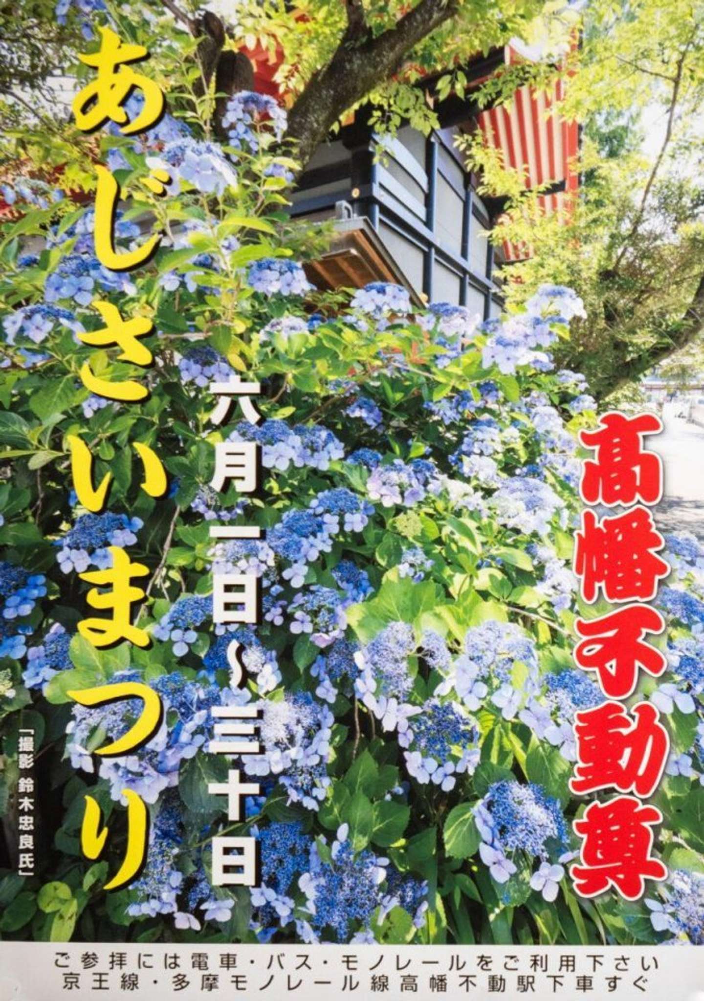 初夏の風物詩「高幡不動尊あじさいまつり」 （画像は日野市観光協会HPより）