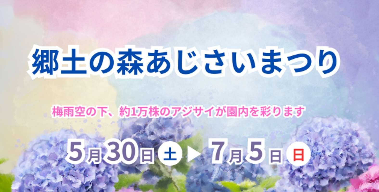 約1万株のあじさいが彩る（画像は公式サイトより）
