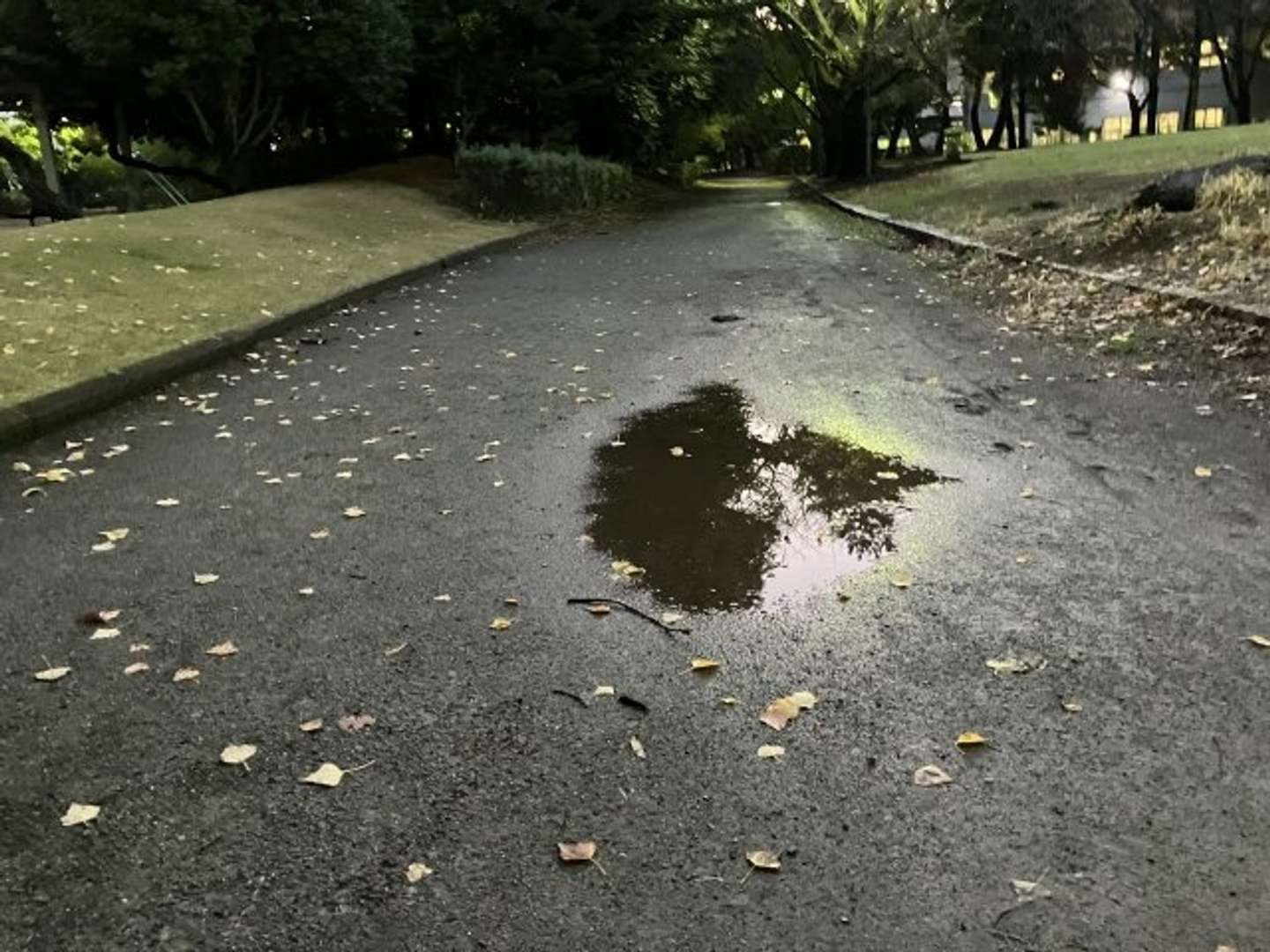 ウォーキング中に近付いてきたのは...（画像はphotoAC）