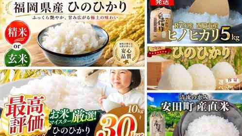 もっちり弾力、すっきりしたうま味、深い甘み　ふるさとチョイスで人気の【ヒノヒカリ】5選