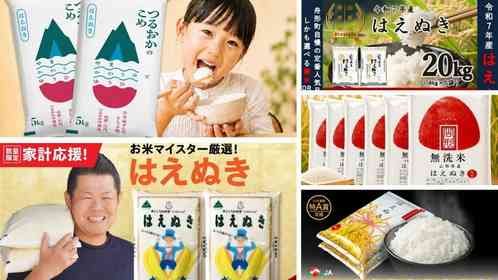山形うまれのモチモチ食感、噛むほど広がるお米の甘み　ふるさとチョイスで人気の【はえぬき】5選