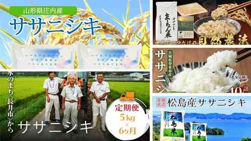 「幻のお米」とも言われる上品かつ繊細な味わい　ふるさとチョイスで人気の【ササニシキ】5選