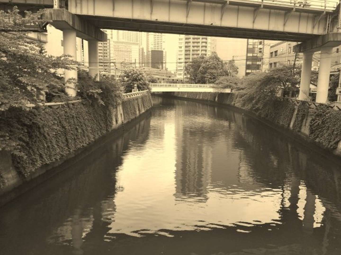 幼き日の思い出（画像はphotoAC）