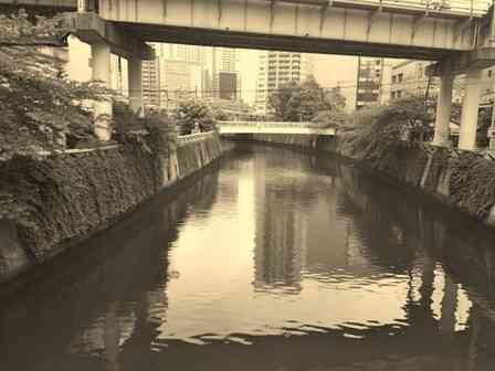 「自転車ごと川に落ち、そのまま流された3歳の私。助けてくれた男の子が私の母に言ったのは...」（千葉県・20代女性）