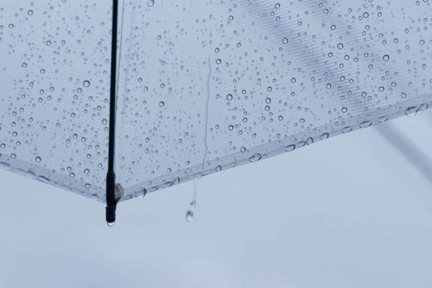 雨の日の親切に感謝（画像はphotoAC）
