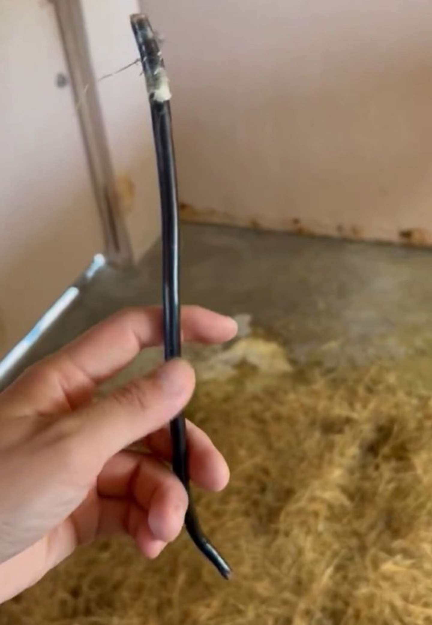 これはなに？（画像はタカオ福山動物園の公式Xより）