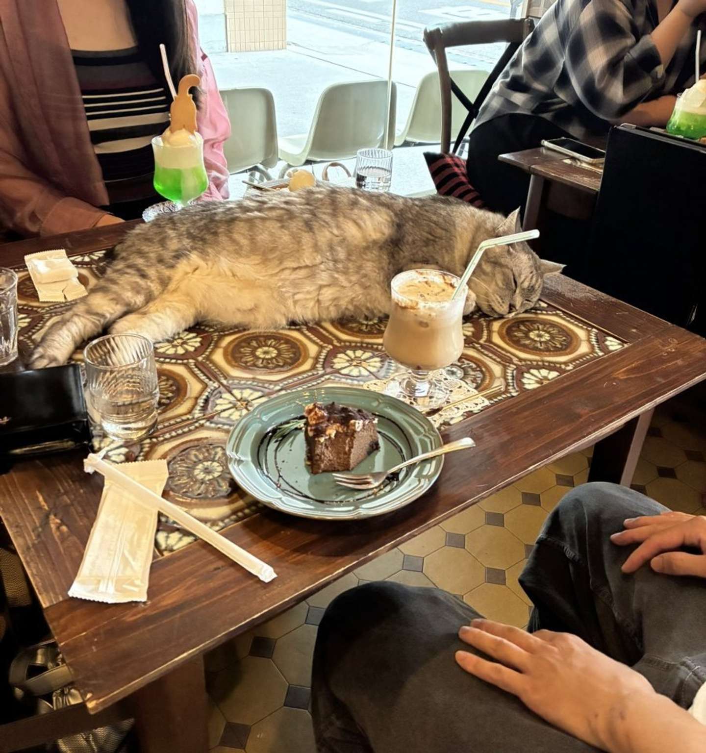 堂々としている（画像は猫喫茶ネコブ公式Xアカウントより、編集部でトリミング）