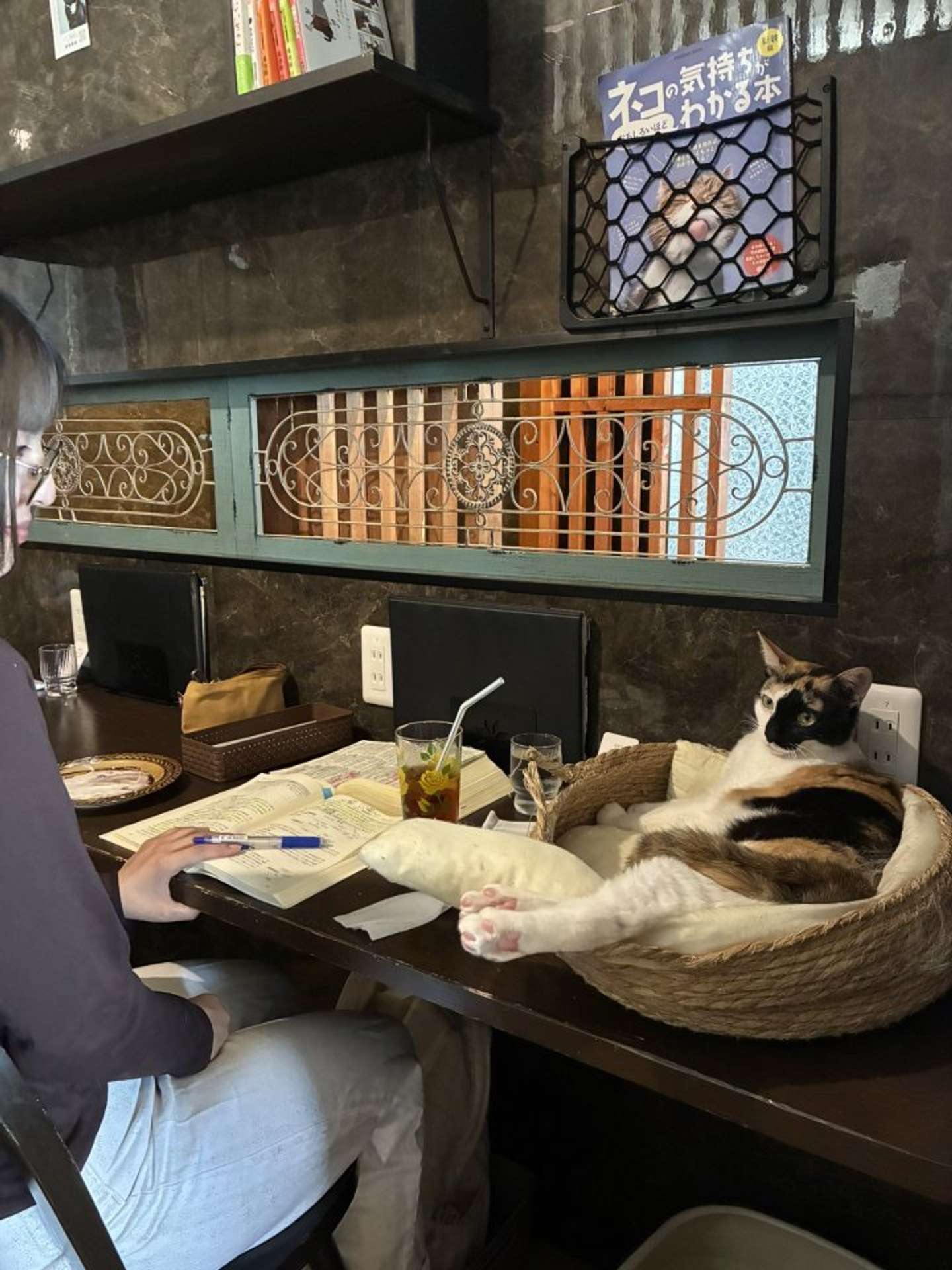 日常風景です（画像提供：猫喫茶ネコブ）