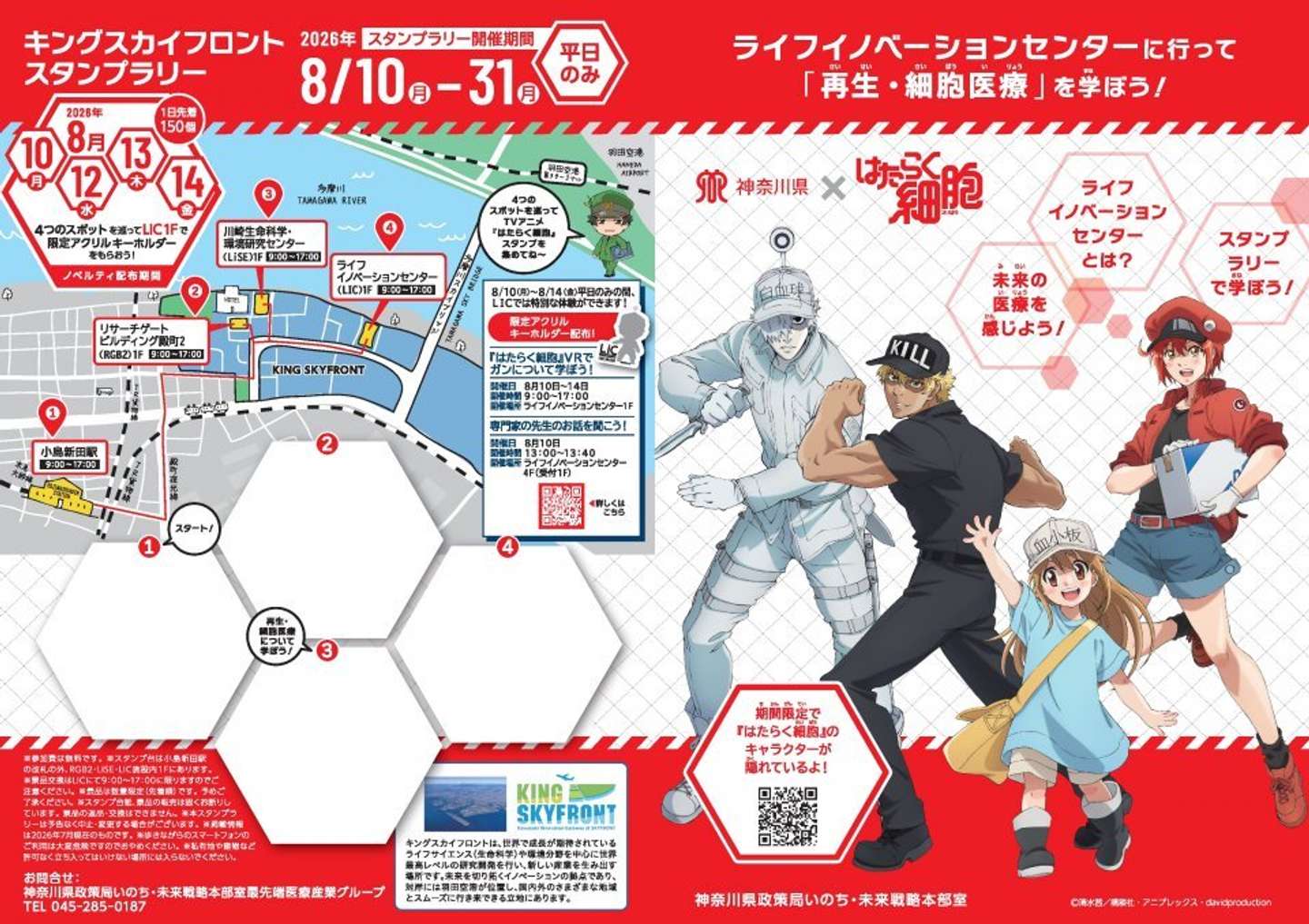 アニメ『はたらく細胞』×神奈川県　コラボレーション（画像はプレスリリースより）