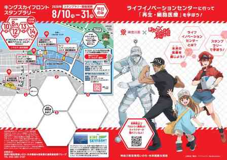 アニメ『はたらく細胞』×神奈川県　コラボレーション（画像はプレスリリースより）