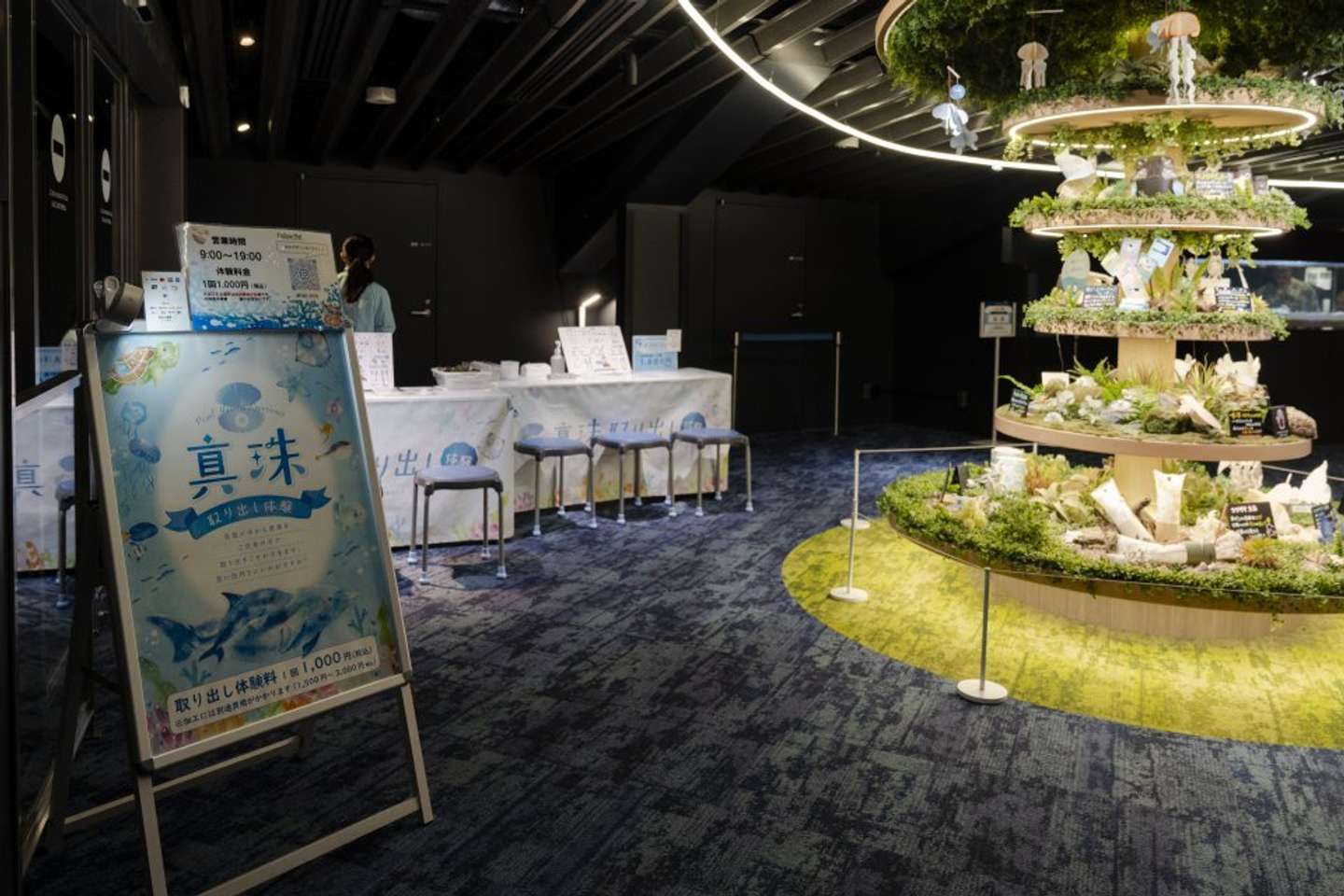体験コーナー（画像提供：京都水族館）