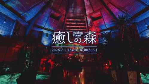 マイナス2.4度の幻想空間で、夏の暑さを忘れない？　神戸布引ハーブ園で「癒しの森」オープン中【～8／30】