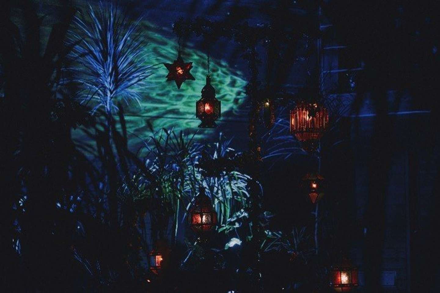 「癒しの森」の中にはランプの灯が（画像はプレスリリースより）