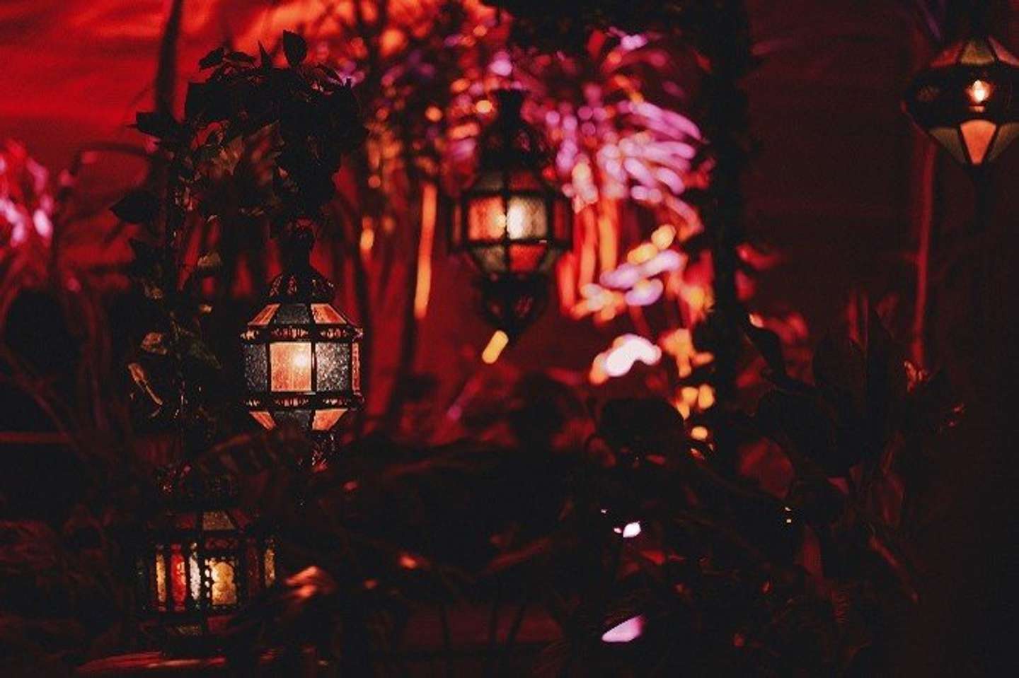 幻想的な光景の中で避暑（画像はプレスリリースより）