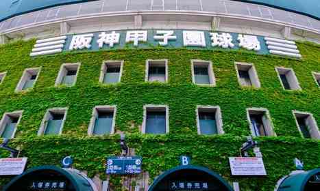 母校は野球の強豪校。高校のみんなと一緒に、夏の甲子園の応援に行ったけど（石川県・30代女性）