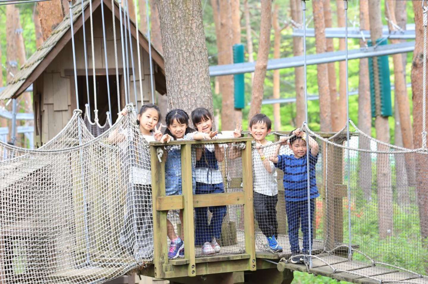 自然体験基地どんぐりコース（画像はプレスリリースより）