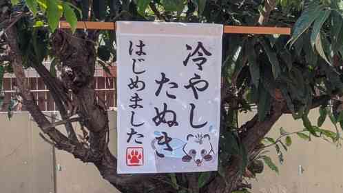 看板「冷やしたぬき始めました」→すぐ下を見ると...　〝まさかの光景〟に4000人爆笑「ちゃぷちゃぷしてる」