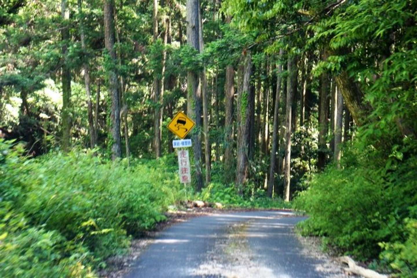旅先の山道で（画像はphotoAC）