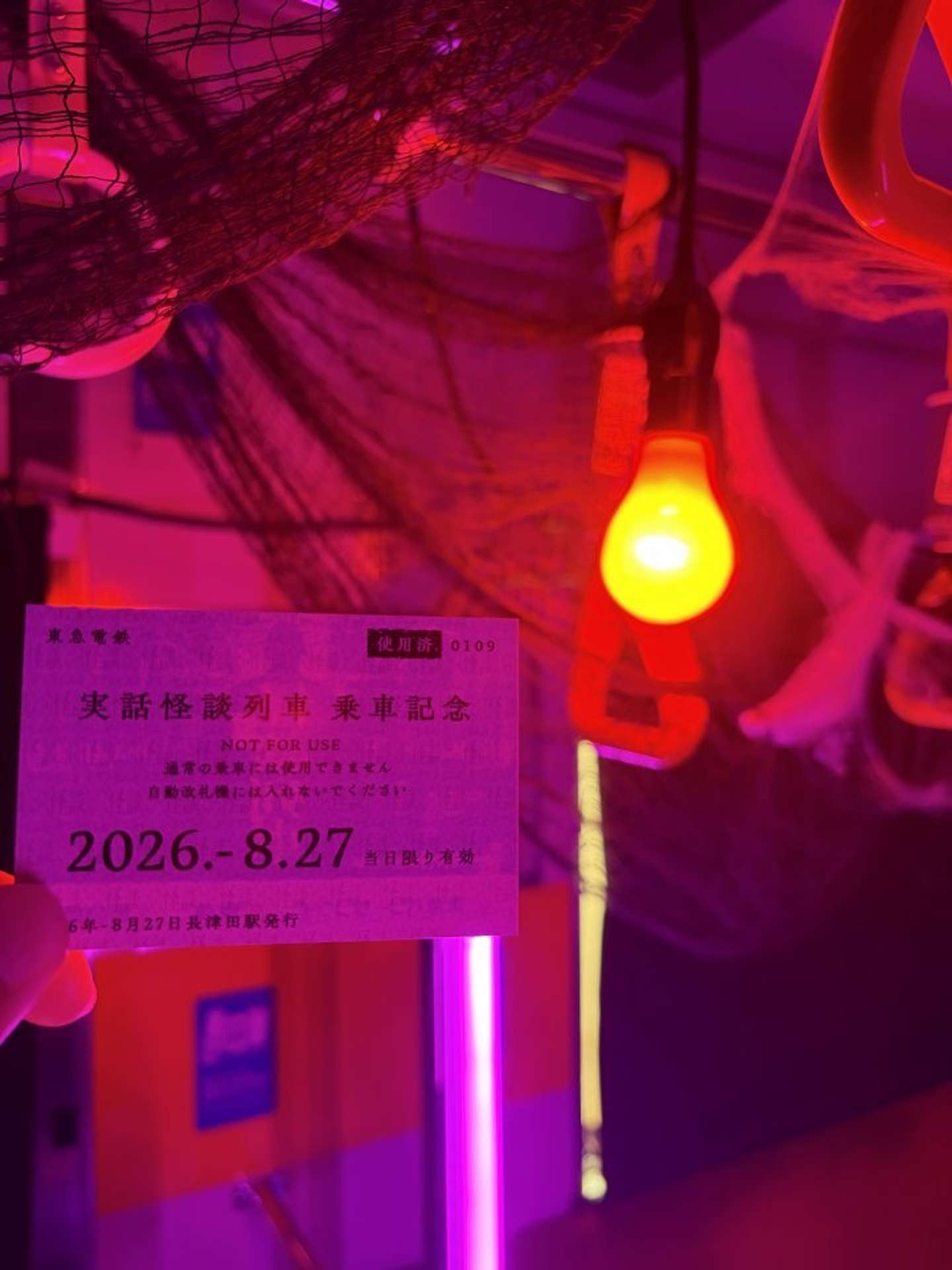 乗車記念の切符