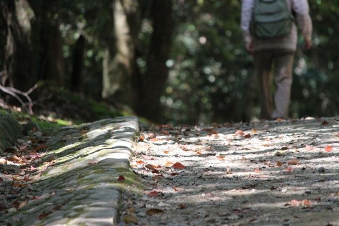 母が道に迷って...（画像はphotoAC）