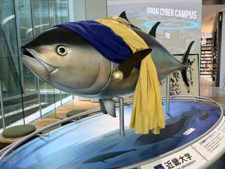 なんだコレ…？（画像は近畿大学公式Xより）
