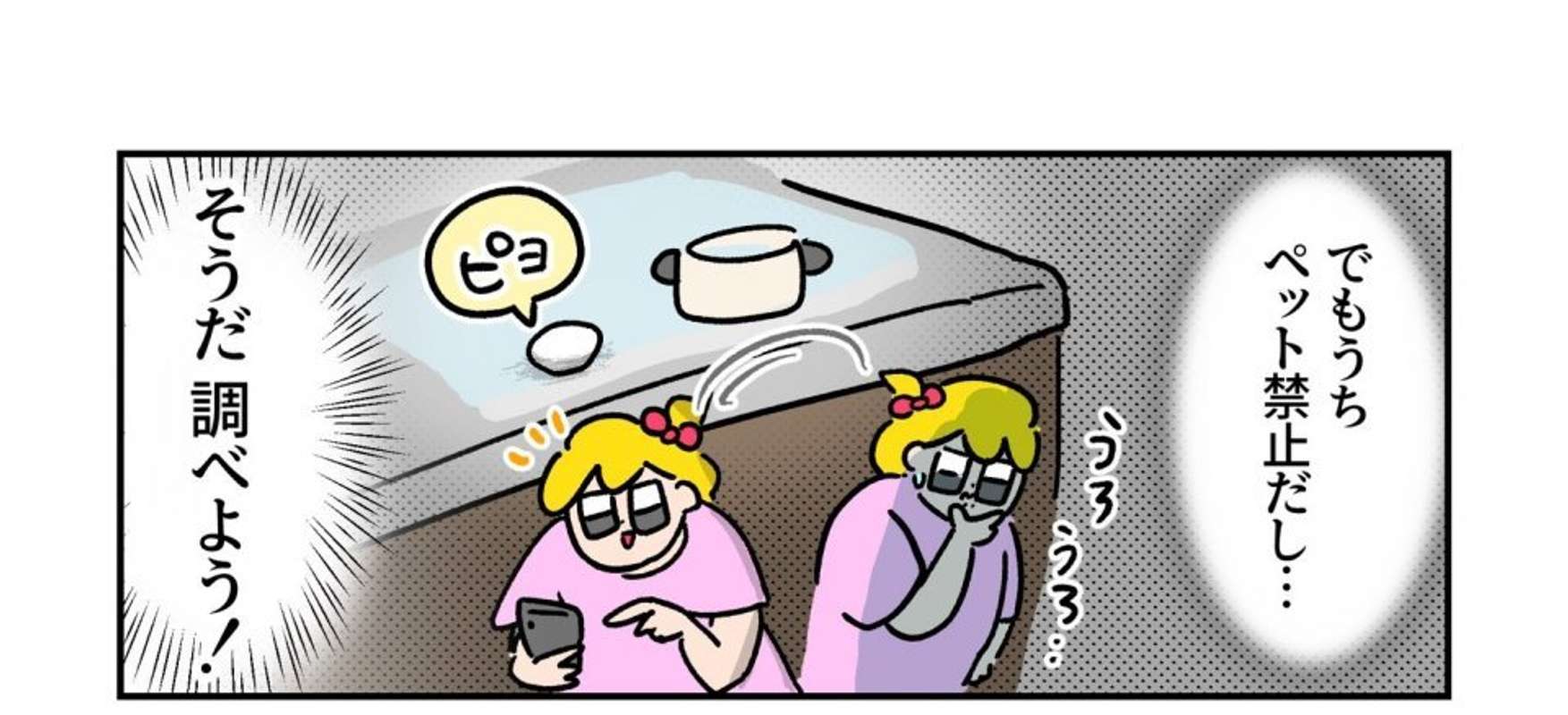 ｷﾗｷﾗおめめのモモコちゃん（＠kira2momoko）さんの投稿より